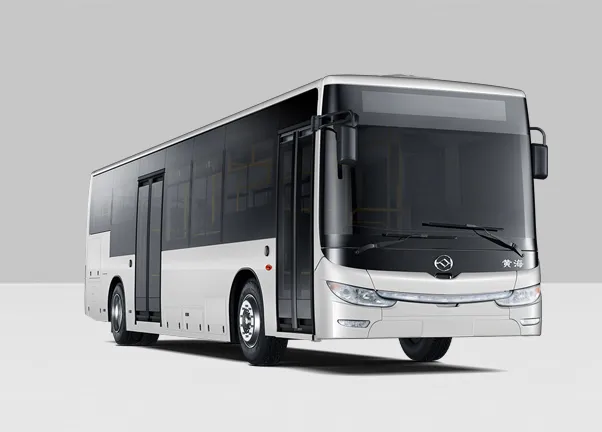 DD6109EV