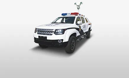 Police Pickup